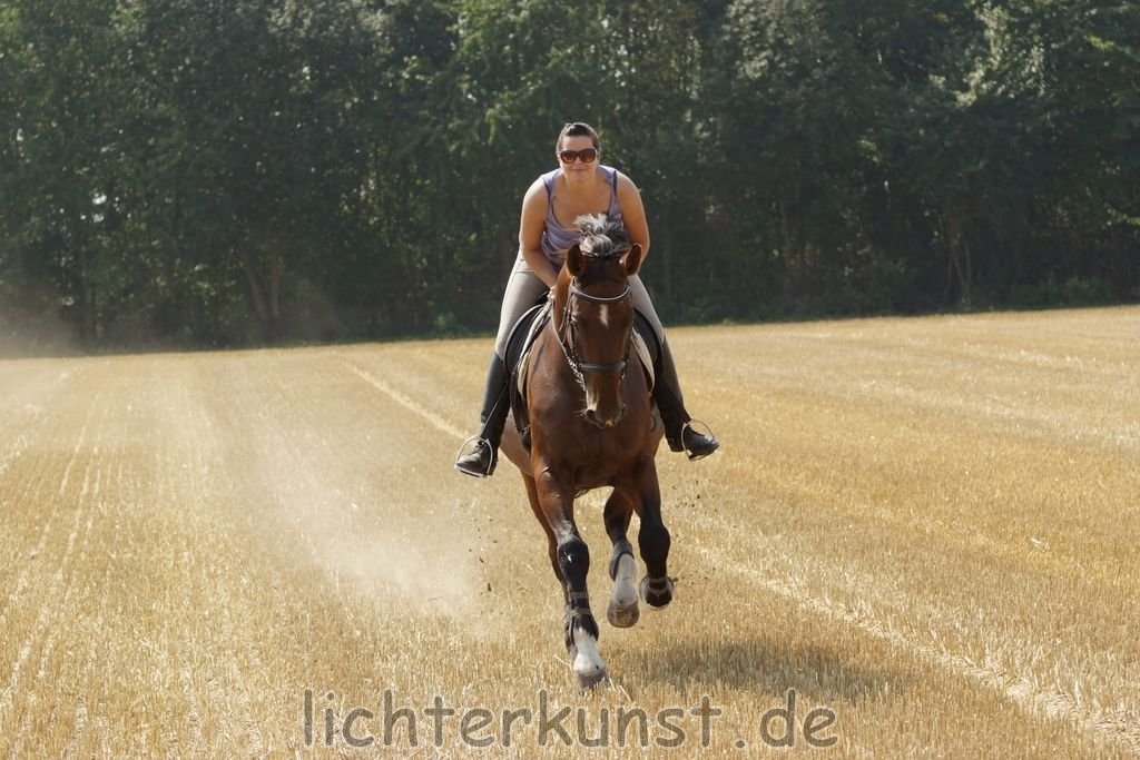 Pferd und Reiter 6609